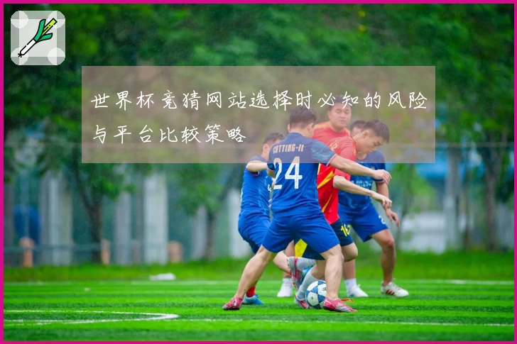 世界杯竞猜网站选择时必知的风险与平台比较策略