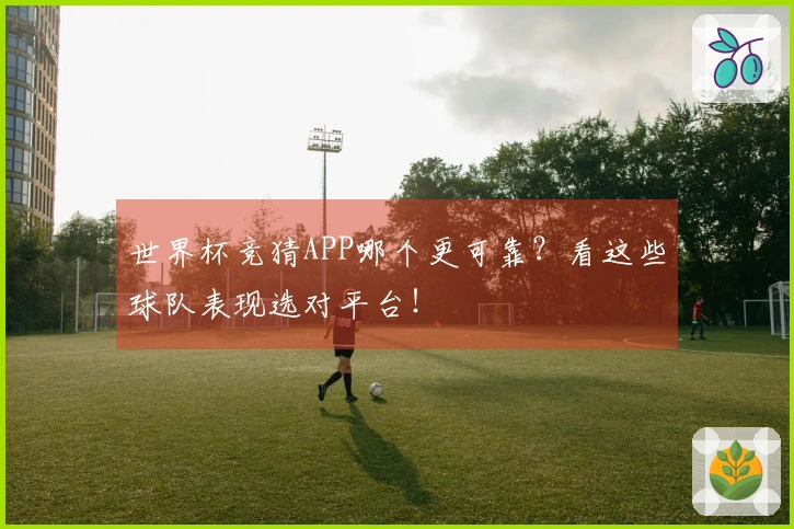 世界杯竞猜APP哪个更可靠？看这些球队表现选对平台！