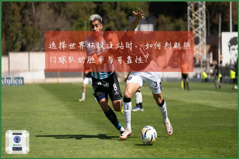 选择世界杯投注站时，如何判断热门球队的胜率与可靠性？