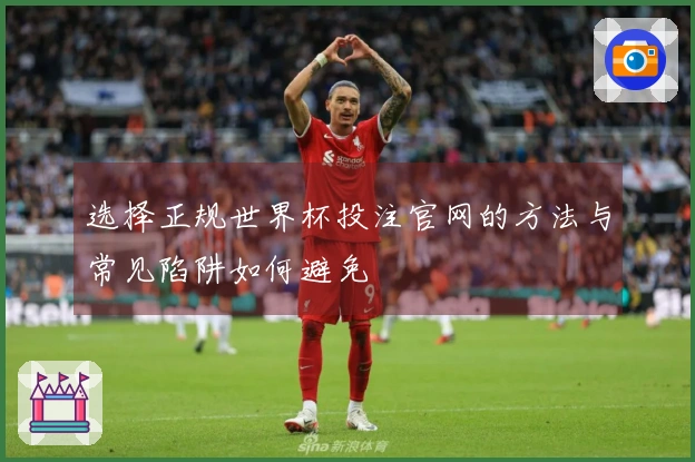 选择正规世界杯投注官网的方法与常见陷阱如何避免